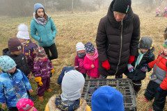 IMG-20240228-WA0009