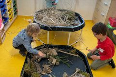 IMG-20240303-WA0043
