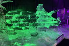 IMG_2637