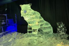 IMG_2641