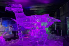 IMG_2665