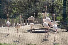 IMG_7122