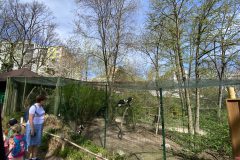 IMG_7177