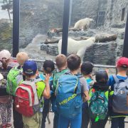 Včeličky - Celodenní výlet do Pražské ZOO