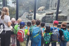 Včeličky - Celodenní výlet do Pražské ZOO