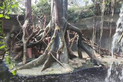 IMG_20240604_101808
