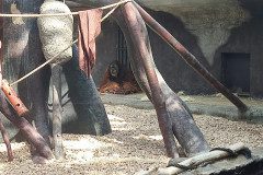IMG_20240604_102148