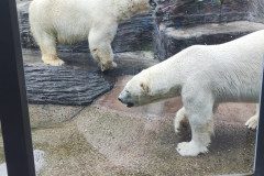 IMG_20240604_103207
