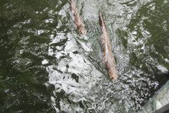 IMG_20240604_103455