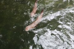 IMG_20240604_103508