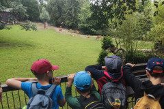 IMG_20240604_103825