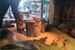 IMG_20240604_104109