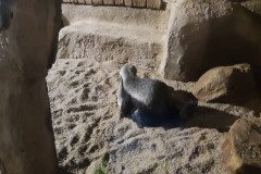 IMG_20240604_104304