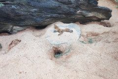 IMG_20240604_105054