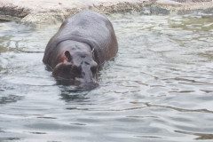 IMG_20240604_105550