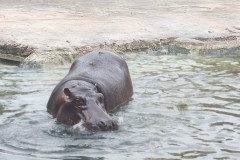 IMG_20240604_105553