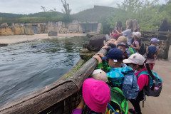IMG_20240604_105633