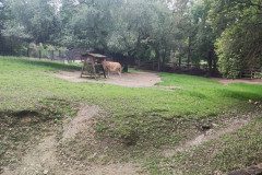 IMG_20240604_110113