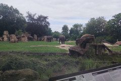 IMG_20240604_110328