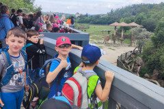 IMG_20240604_111021