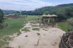 IMG_20240604_111236