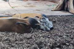 IMG_20240604_113056