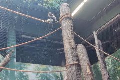 IMG_20240604_113106