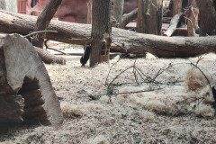 IMG_20240604_113608