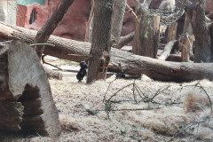 IMG_20240604_113628