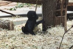 IMG_20240604_113645