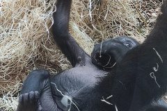 IMG_20240604_113938