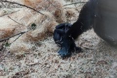 IMG_20240604_113953