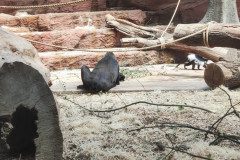 IMG_20240604_114051