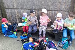 IMG_20240604_121757