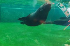 IMG_20240604_130234
