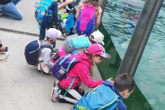 IMG_20240604_130259