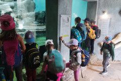 IMG_20240604_131813
