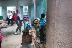 IMG_20240604_131817
