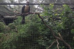 IMG_20240604_133011