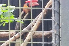 IMG_20240604_133027