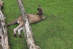 IMG_20240604_133529