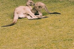 IMG_20240604_133718