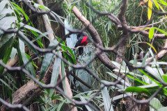 IMG_20240604_134140