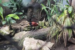 IMG_20240604_134308