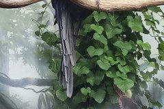 IMG_20240604_134408