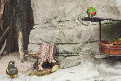 IMG_20240604_134610