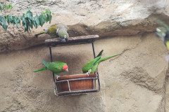IMG_20240604_134638