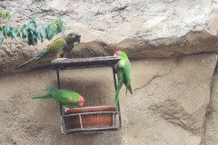 IMG_20240604_134642