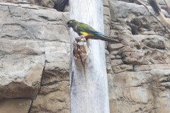 IMG_20240604_134651