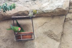 IMG_20240604_134653